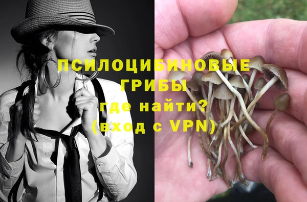 МДМА Алексеевка