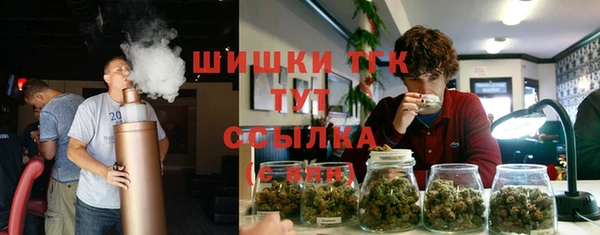 СК Алзамай